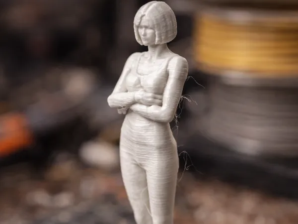 https://makerworld.bblmw.com/makerworld/model/DSM00000001166863/design/204020aa8911a95a.png