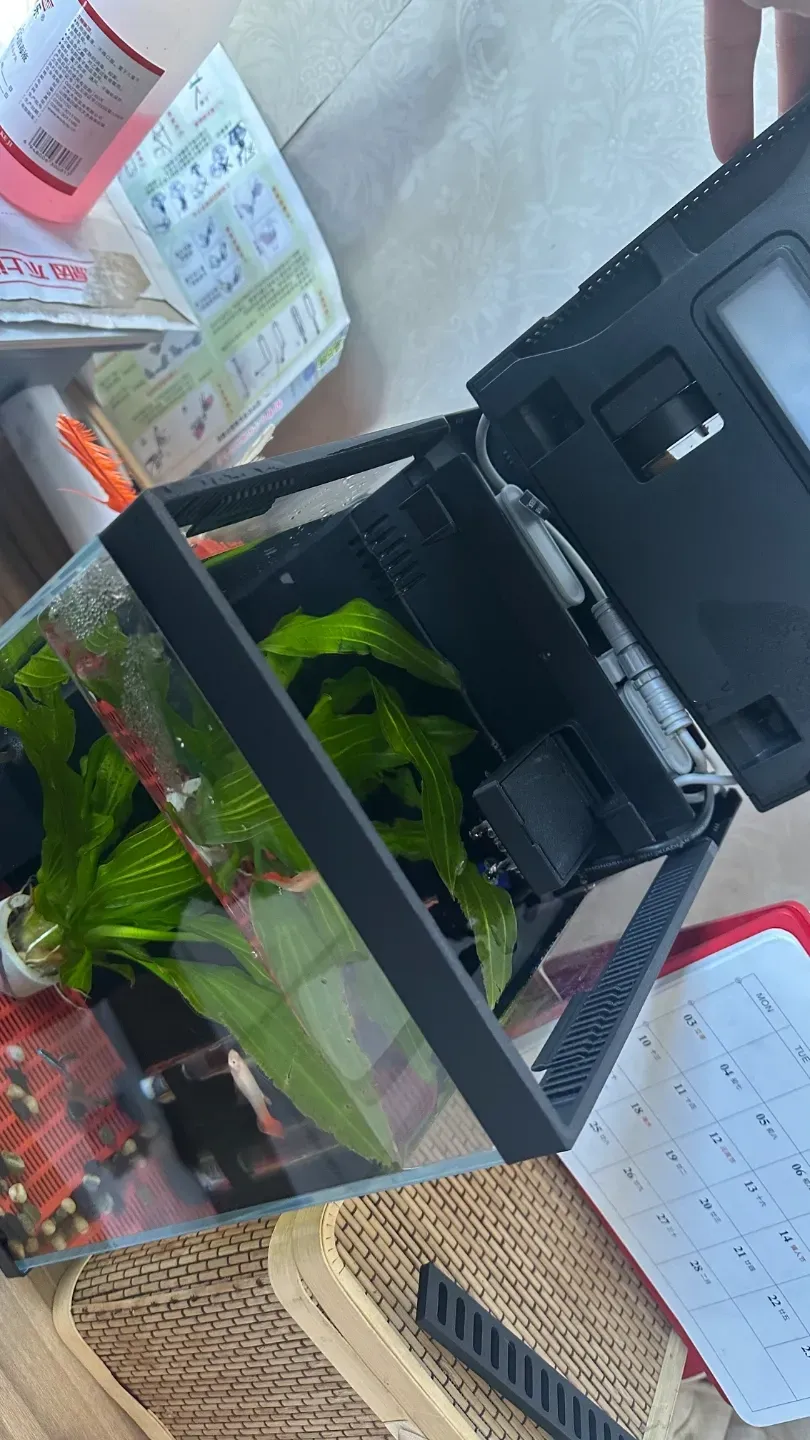 Xiaomi Fish Tank 2nd Generation Heightening, Eliminates Fog, with ...