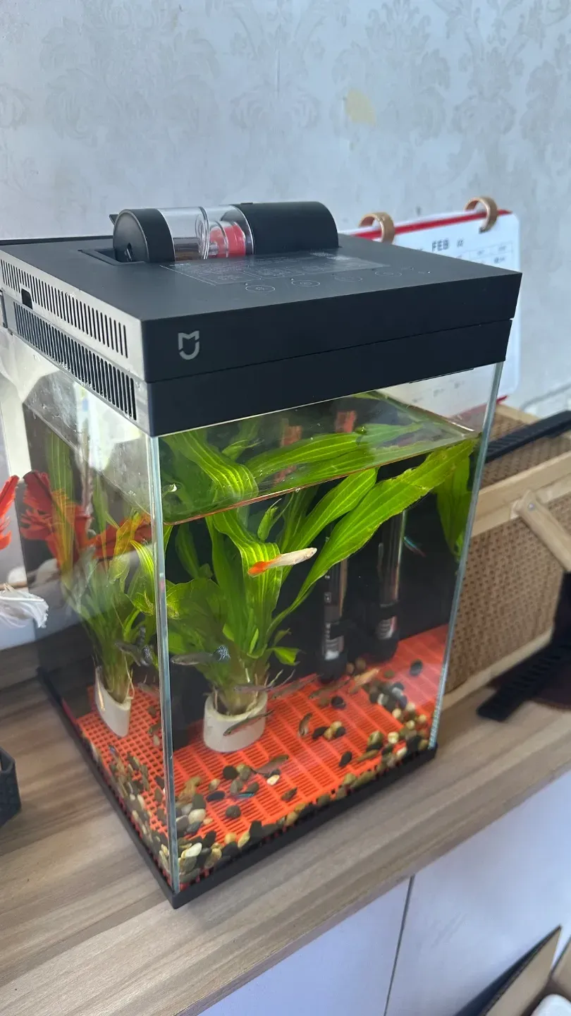 Xiaomi Fish Tank 2nd Generation Heightening, Eliminates Fog, with ...