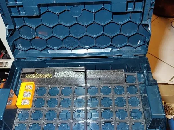 https://makerworld.bblmw.com/makerworld/model/DSM00000001167671/design/2025-03-02_455ff923c8af3.webp