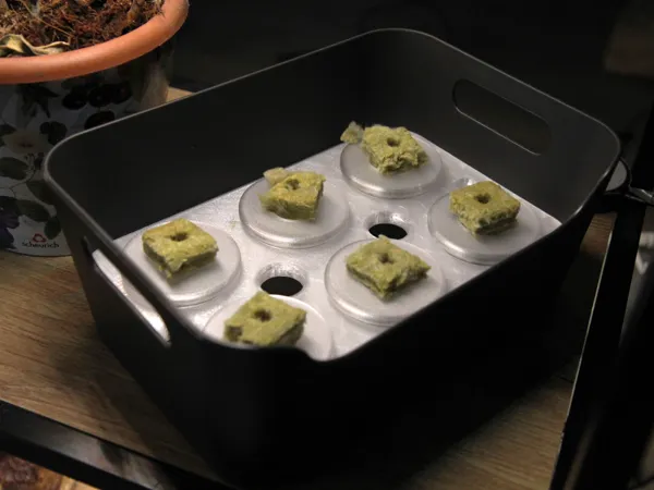 https://makerworld.bblmw.com/makerworld/model/DSM00000001167684/design/2025-03-02_b90f12dc1f7b7.jpg