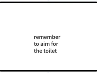 remember to aim