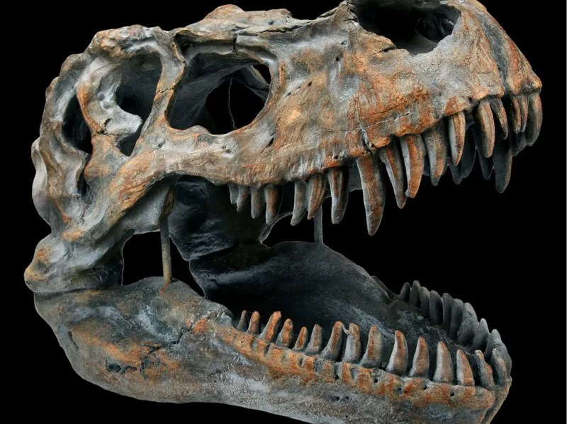 T-Rex sculpture