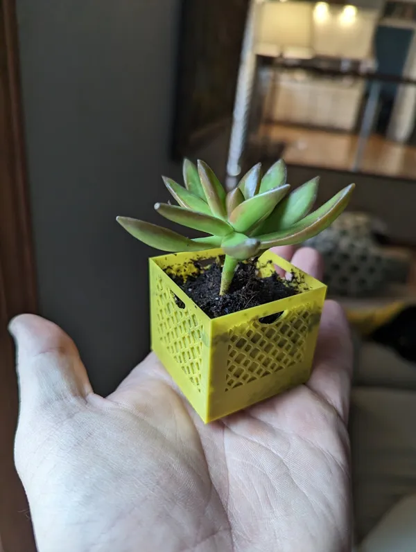 Cagette à lait jardinière