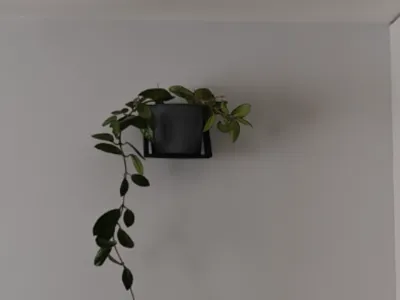 Wall shelf for a flower pot