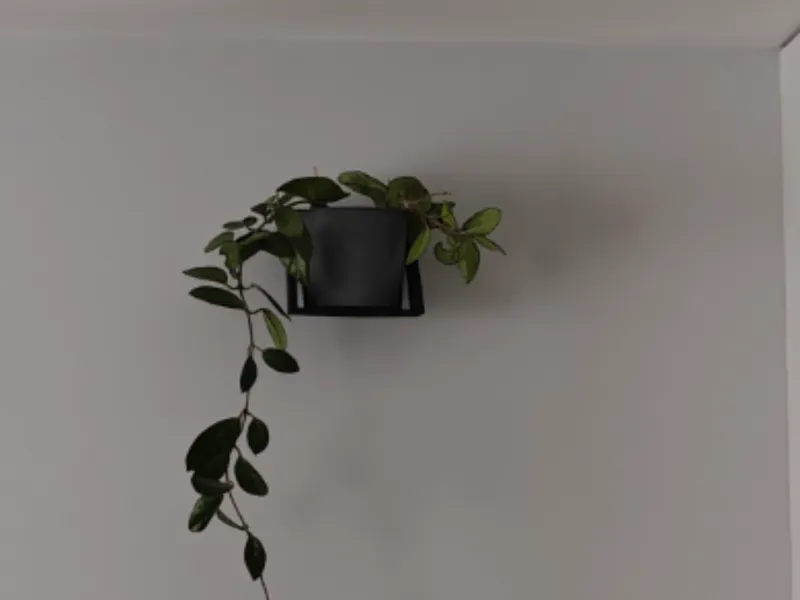 Wall shelf for a flower pot