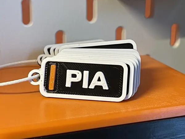 https://makerworld.bblmw.com/makerworld/model/DSM00000001171129/design/2025-03-03_7f18a146bb675.webp