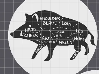 boar cuts coaster