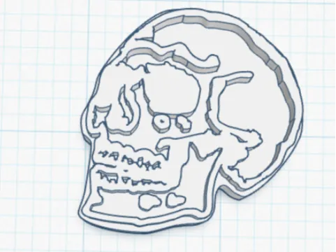 Skull stamp