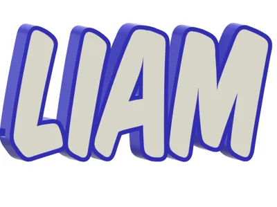 LED Name Light “LIAM”