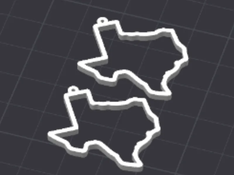 Texas Outline Shape Earring