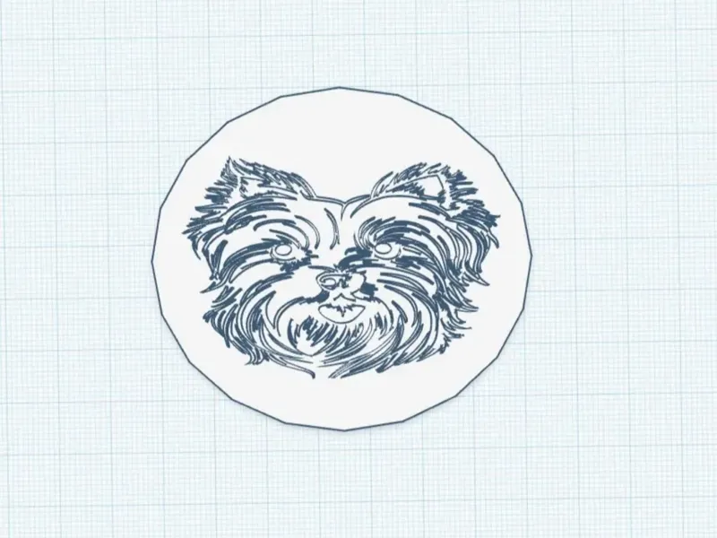 Yorkshire's head