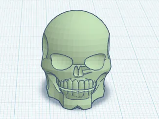 Skull