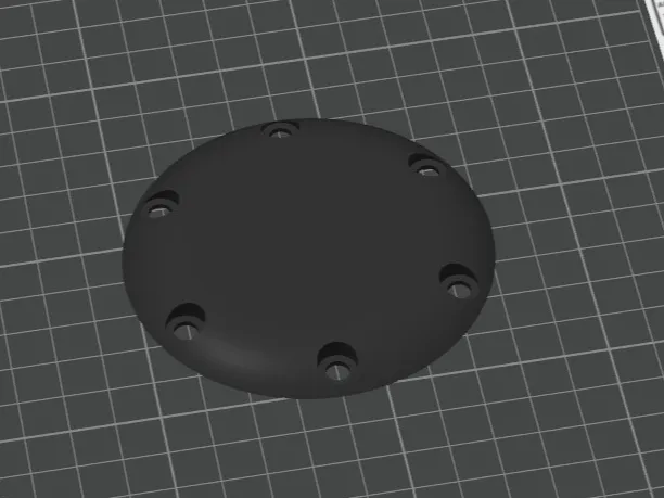 Fanatec center wheel cap
