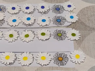 daisy flowers