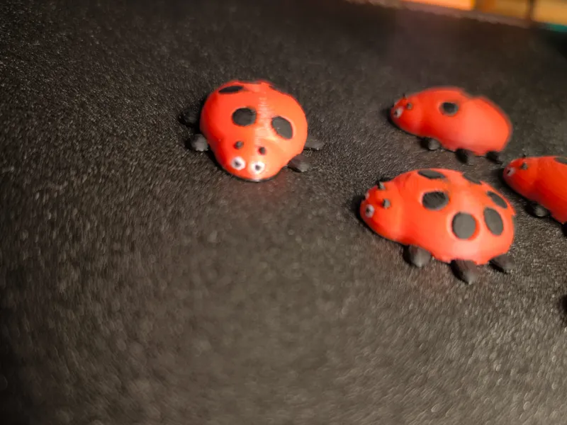 Marienkäfer kühlschrankmagnet
