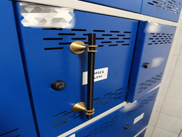 https://makerworld.bblmw.com/makerworld/model/DSM00000001179018/design/2025-03-05_6330a4933cf1a.jpg