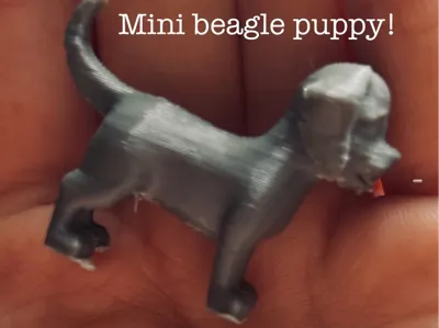 Tiny beagle puppy!