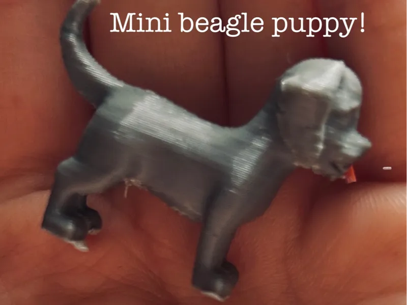 Tiny beagle puppy!
