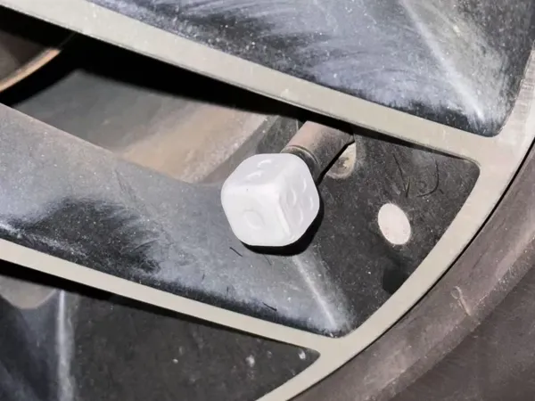 https://makerworld.bblmw.com/makerworld/model/DSM00000001180923/design/9407aa2a-352d-4ebc-9743-0a54bae23fd7.webp