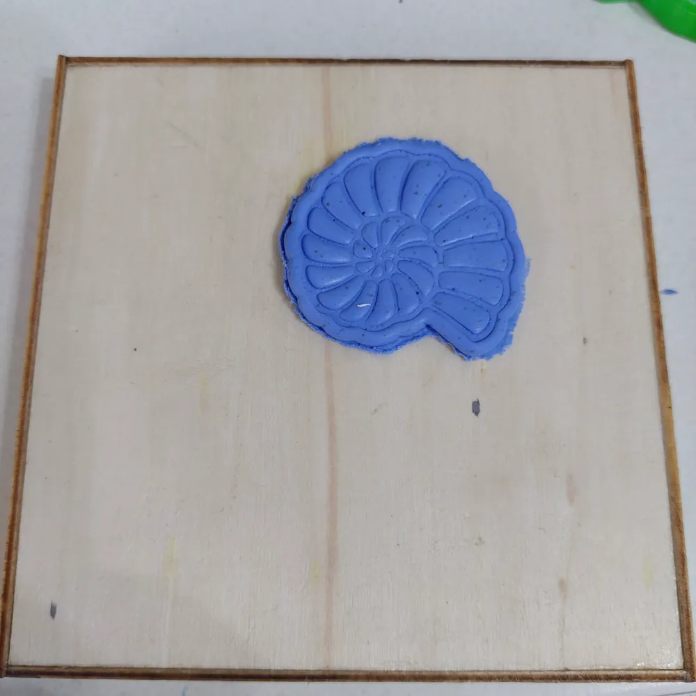 Varios Caracol, Trellas De Mar. Concha De Mar, Vida Marina Conjunto Grabado