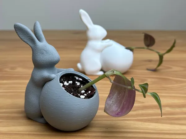 https://makerworld.bblmw.com/makerworld/model/DSM00000001184018/design/2025-03-07_d35b2b714429b.jpg