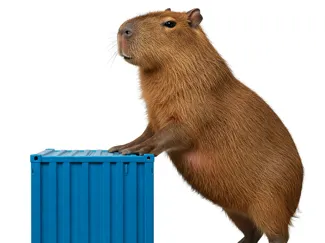 Capyvara no container