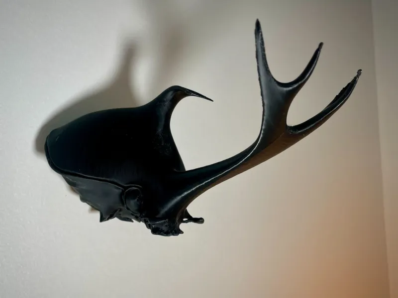 Rhinoceros Beetle Wall Mount (no supports)