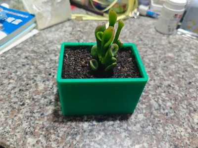 Square Flower Pot