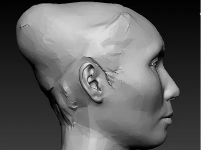 The girl's head is heavily modified