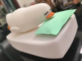 睡觉鸭