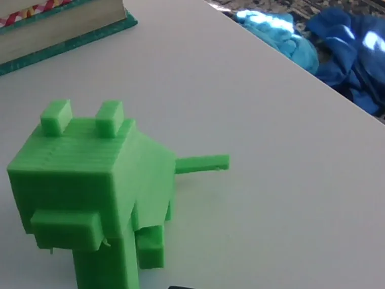 minecraft cat