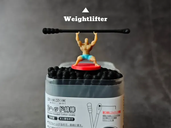 https://makerworld.bblmw.com/makerworld/model/DSM00000001190023/design/2e123afc-e704-405a-b794-dd82cf5c8161.webp