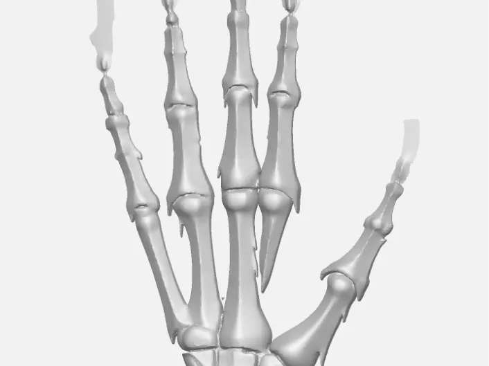 Burning hand skeleton 