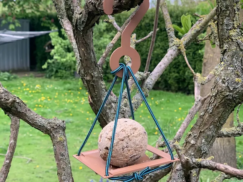 Bird feeder