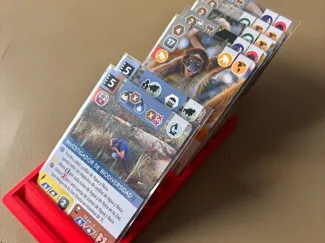 Ark Nova Card Holder