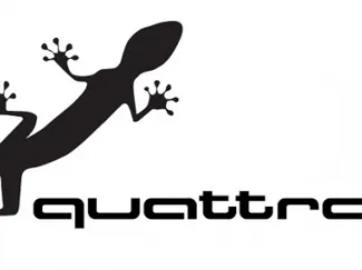 Quattro logo gecko