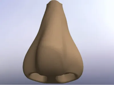 Human Nose + Keychain