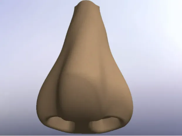 Human Nose + Keychain