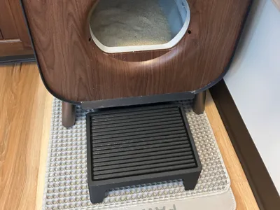 Cat Ramp
