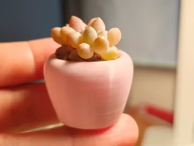 Chubby Fingertip Planter