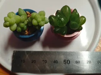 有洞洞的迷你花盆