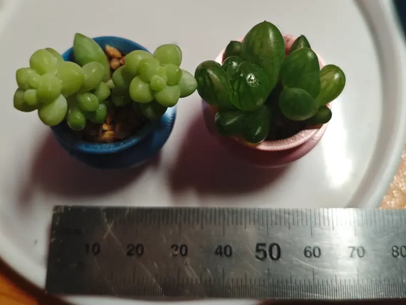 有洞洞的迷你花盆