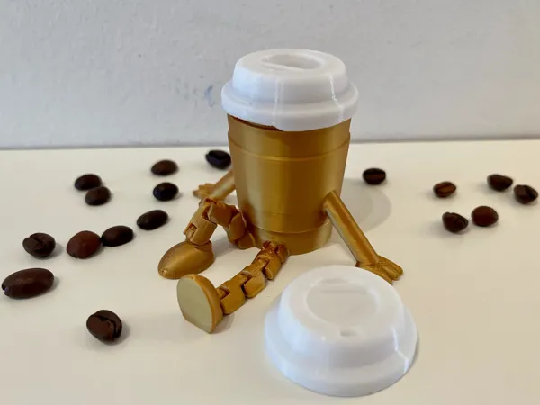 https://makerworld.bblmw.com/makerworld/model/DSM00000001196377/design/2025-03-11_mi3bp3uqxf93.jpg