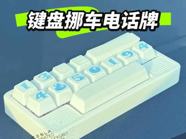 https://makerworld.bblmw.com/makerworld/model/DSM00000001197014/design/89e2273d-aa83-4942-ab94-20adf9aca9e2.webp
