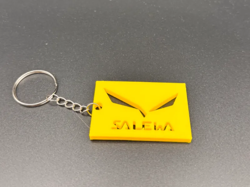 Salewa Keychain