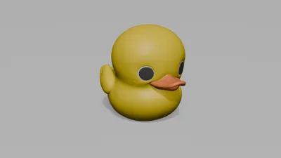 Rubber Duck