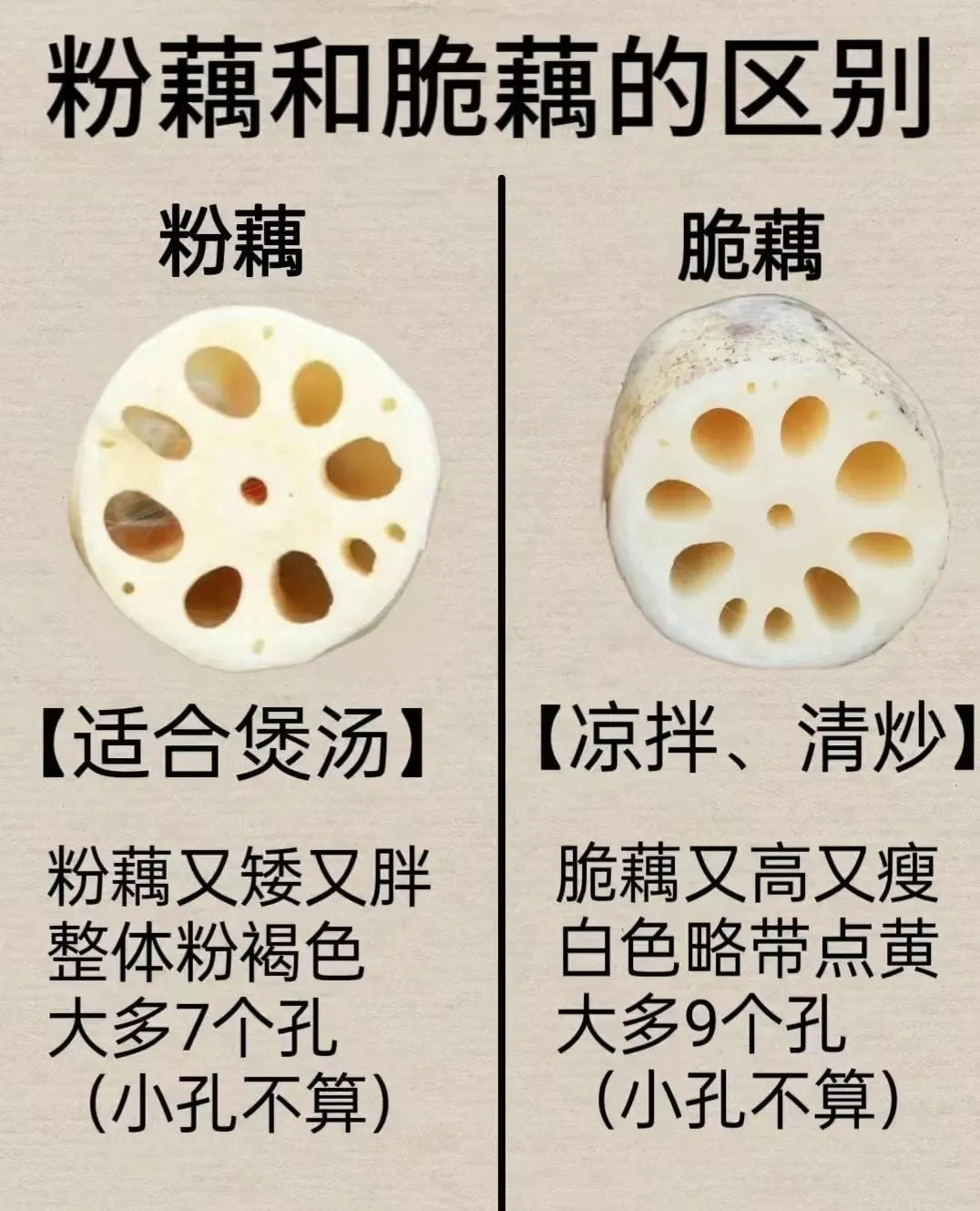 Two lotus root pieces by 三七21 - MakerWorld