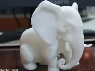 Baby elephant 