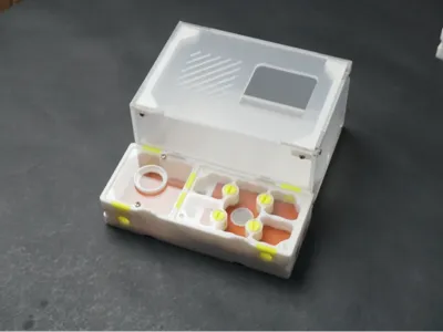 M3 Flat Ant Nest A and B Models with Expansion Activity Area